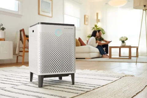 Air purifier in the apartment is there any benefit