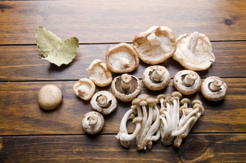 Are matsutake mushrooms nutritious Results of asking a registered dietitian